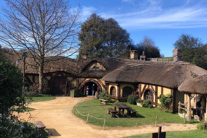 Hobbiton movie set tour and a lot more beautiful NZ sights - McLaren Falls Park waterfalls and the native forest walk