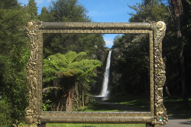 Hobbiton Movie Set Tour from Auckland - What the Day Feels Like: For Families, Fans, and First-Time NZ Visitors