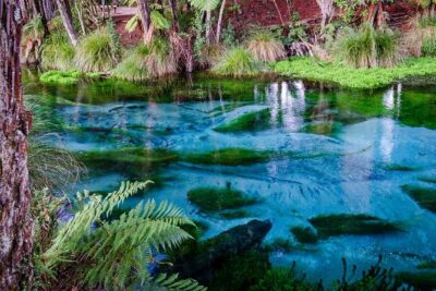 Hobbiton Movie Set tour & Glowworm Cave day tour