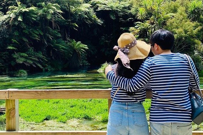 Hobbiton Movie Set tour & Glowworm Cave day tour - The Best Guide Experience: How Your Day Can Improve With the Right Person