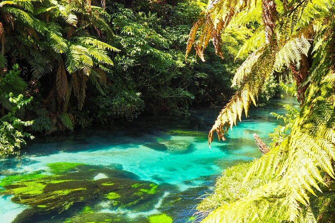 Hobbiton Movie Set Tour to Blue Springs and Mineral Spa - Back to Auckland: finishing with a clear end time