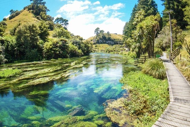 Hobbiton Movie Set Tour to Blue Springs and Mineral Spa - Price and value: what you are really paying for