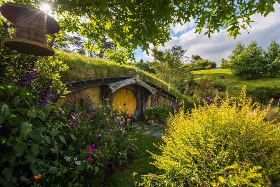Hobbiton Movie Set Tour to Blue Springs and Waitomo caves - The Hobbiton details that make it feel real