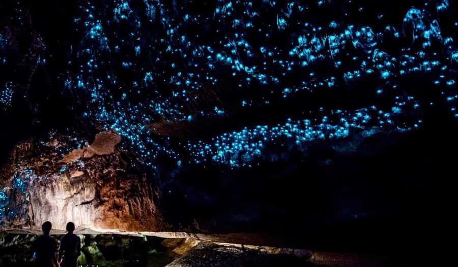 Hobbiton Movie Set Tour to Blue Springs and Waitomo caves - Lunch timing, and what it means for your day
