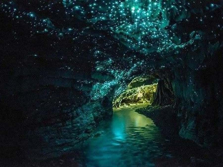 Hobbiton Movie Set Tour to Blue Springs and Waitomo caves - Waitomo Glowworm Caves by boat: the quiet wow factor