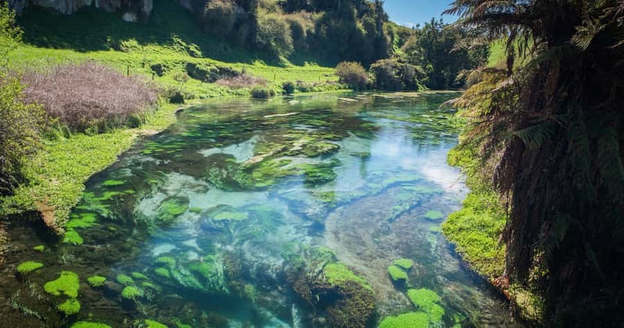 Hobbiton Movie Set Tour to Blue Springs and Waitomo caves - Small-group day trips: great for chat, not perfect for rain