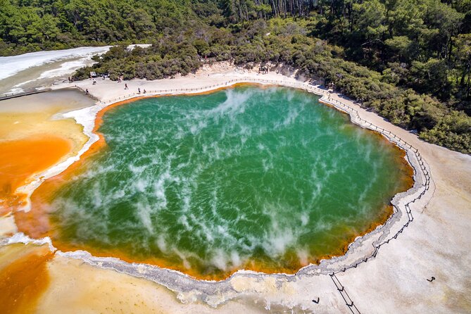 Hobbiton & Rotorua including Wai-O-Tapu - Small Group Tour from Auckland - Key things I’d watch for on this tour