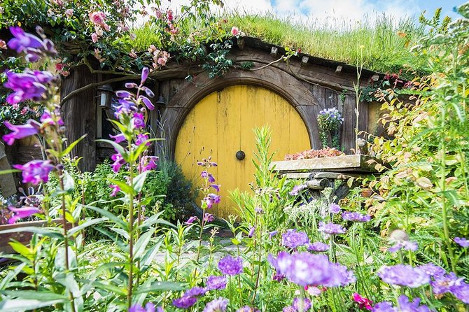 Hobbiton & Rotorua Small Group Tour including Te Puia from Auckland - Price and value: is $266.23 worth it?