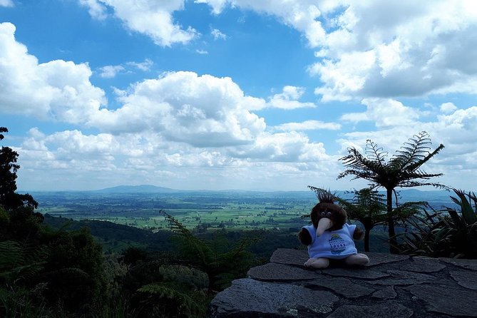 Hobbiton Transport & Tauranga Highlights Excursion from Tauranga - The walking and weather reality check