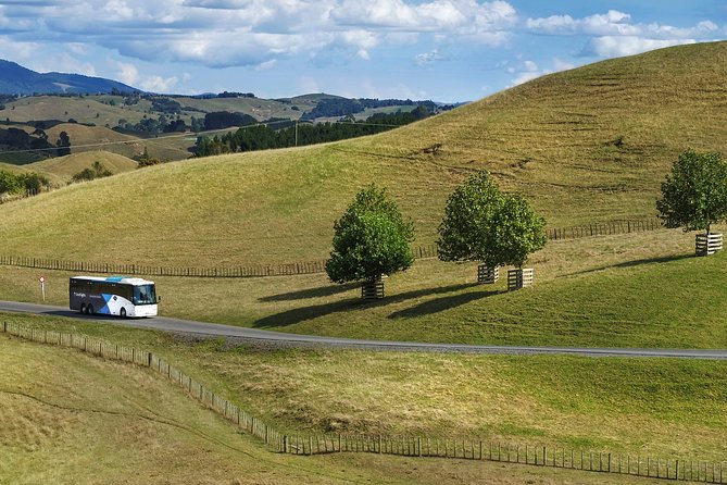 Hobbiton & Waitomo Caves Guided Tour from Auckland with Lunch - Hobbiton Movie Set on a working farm: walking tips and photo realities