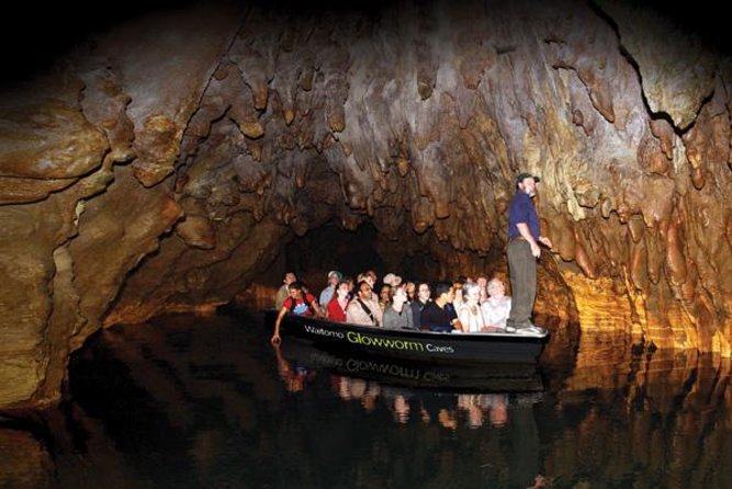 Hobbiton & Waitomo Caves Guided Tour from Auckland with Lunch - Small logistics that matter: seating, timing, and weather