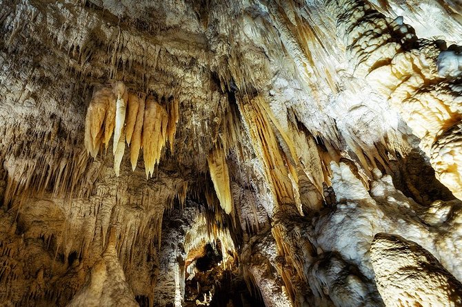 Hobbiton & Waitomo Caves Small Group Tour from Auckland inc Lunch - Returning to Auckland With Guided Guidance and Quick Stops