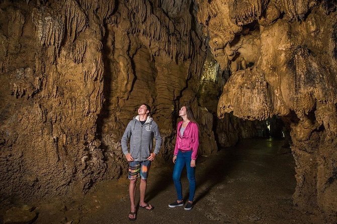 Hobbiton & Waitomo Caves Small Group Tour from Auckland inc Lunch - Price and Value: Where the $235.20 Adds Up