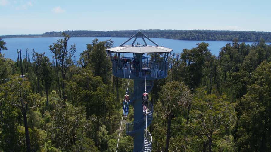 Hokitika: West Coast Tree Top Tower Zip Line and Walk - Key Things You’ll Notice on This Hokitika Treetop Tour