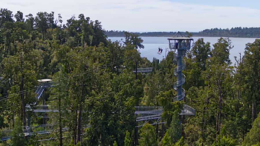 Hokitika: West Coast Tree Top Tower Zip Line and Walk - Start Point: West Coast Tree Top Visitor Center (and What That Means)