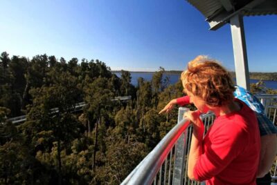 Hokitika: West Coast Tree Top Tower Zip Line and Walk