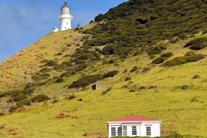 Hole in the Rock Cruise & Island Stopover (Half Day) - Cape Brett Lighthouse and the Cruise Through 144 Islands