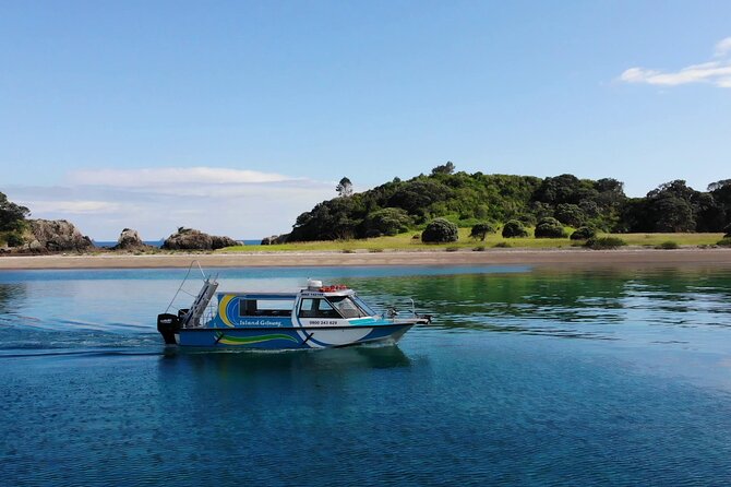 Hole in the Rock Cruise & Island Stopover (Half Day) - The Main Event, Motukokako Island and the Hole in the Rock