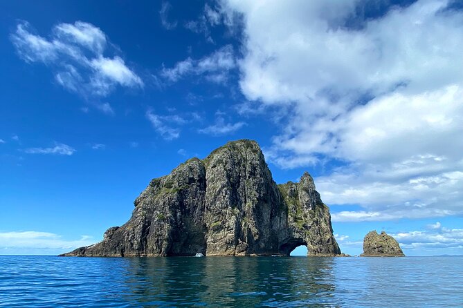 Hole in the Rock Cruise & Island Tour - with two island stopovers - Where This Bay of Islands Tour Really Starts: Paihia Wharf