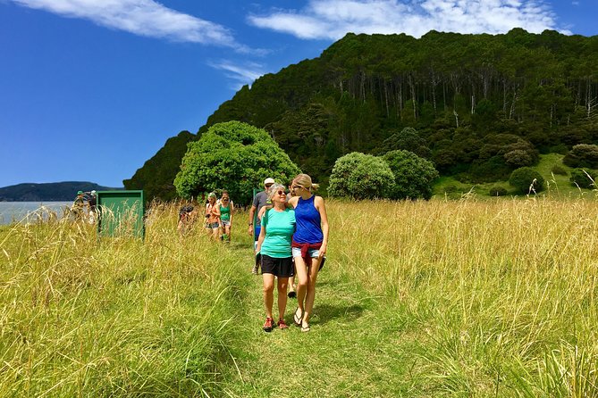 Hole in the Rock Cruise & Island Tour - with two island stopovers - Your Second Island Stop: Urupukapuka or One of the Nearby Alternatives