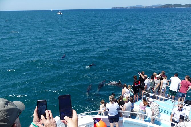 Hole in the Rock Scenic Cruise including Dolphins and Island stop - From the inner islands to Hole in the Rock, what you will actually see