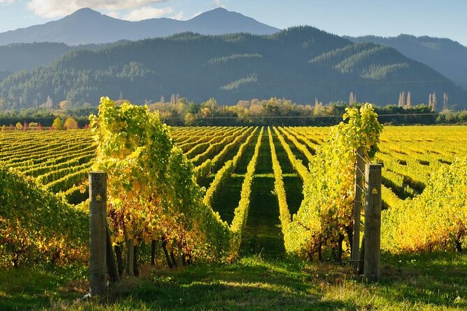 Hop on Hop off Wine Tours Marlborough - Why Marlborough by hop on hop off works from Picton