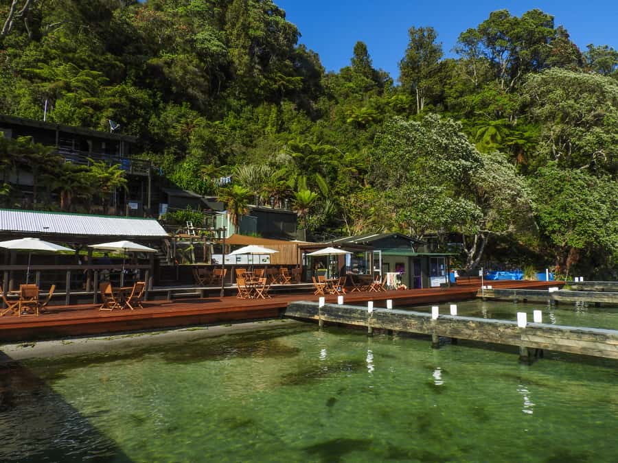 Hot Pools Kayak & Evening Barbecue - Paddle coaching across Lake Rotoiti, plus Maori stories from your guide
