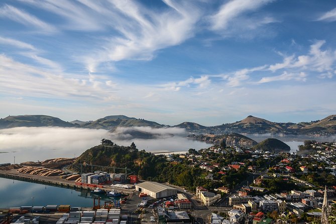 Iconic Shore Excursion: Dunedin City Highlights Tour - Key highlights worth your attention