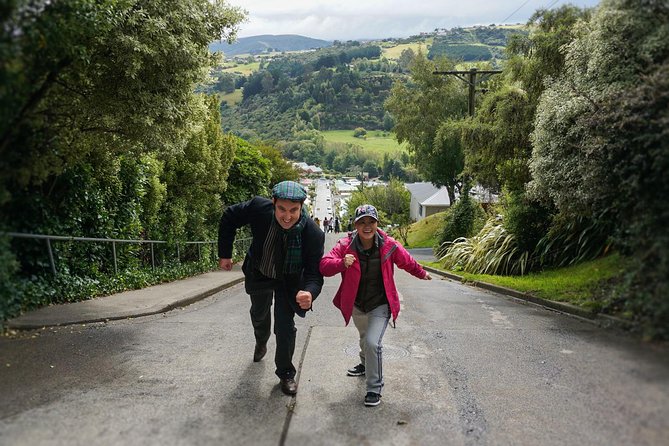 Iconic Shore Excursion: Dunedin City Highlights Tour - Cruise-friendly pickup, then straight to Dunedin’s best-known spots