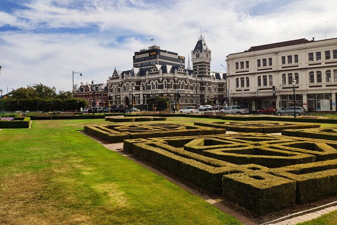 Iconic Shore Excursion: Dunedin City Highlights Tour - St Clair beach photo stop: optional, weather and time permitting