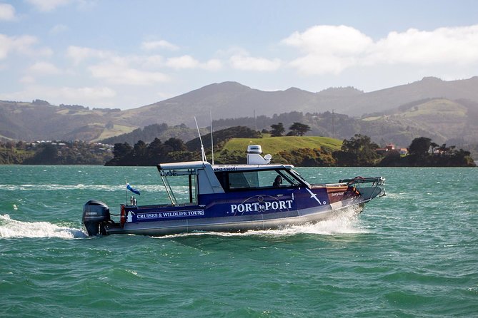 Iconic Wildlife Tour with Yellow Eyed Penguins & Royal Albatross - The far reaches of the Otago Peninsula: why the drive adds value