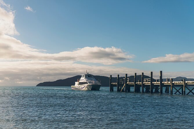 InterIslander Ferry - Picton to Wellington - Wellington arrival: what you gain after the crossing