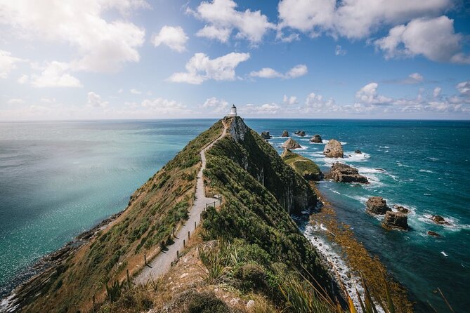 Invercargill to Dunedin via the Catlins Small Group 1 Way Tour - Key highlights