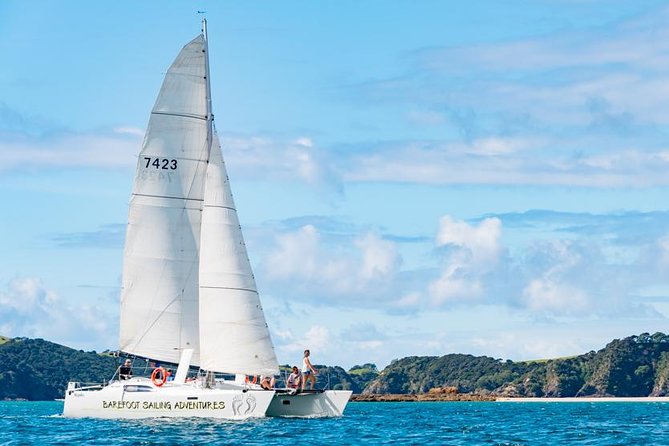 Island Hopper Day Cruise - sailing to wildlife sanctuary island - 6 hr cruise - Key points I’d plan around