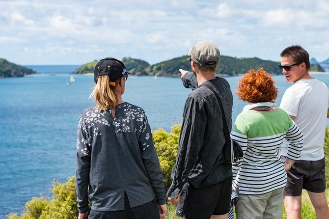 Island Hopper Day Cruise - sailing to wildlife sanctuary island - 6 hr cruise - Food and pacing: morning tea, lunch, and downtime that doesn’t feel rushed
