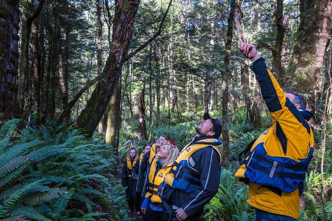 Jet Boat Journey through Fiordland National Park - Pure Wilderness - Lake Manapouri: the hard switch from thrill to silence