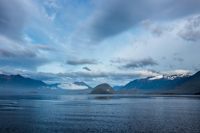 Jet Boat Journey through Fiordland National Park - Pure Wilderness - The guided walk in Fiordland National Park (Te Wahipounamu)