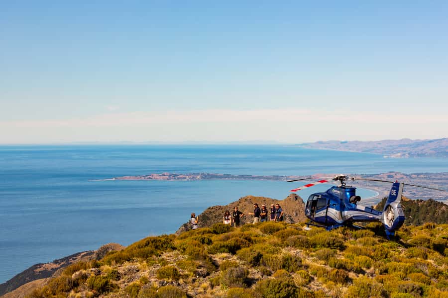 Kaikoura: 1-Hour Whale Watching Helicopter Tour - FAQ
