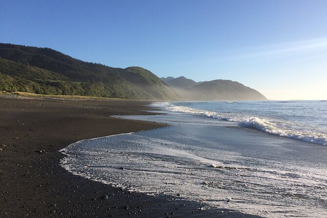 Kaikōura Day Tour From Christchurch (Small Group, Carbon Neutral) - Small group size: why max 16 matters