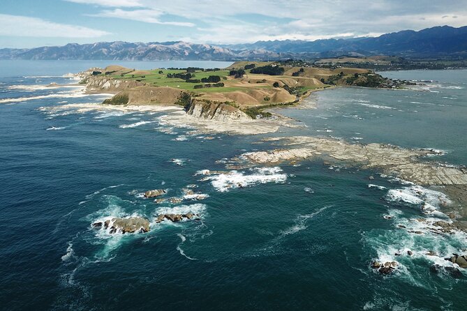 Kaikōura Day Tour From Christchurch (Small Group, Carbon Neutral) - Leaving Christchurch: pickup, WiFi, and a guide-led start