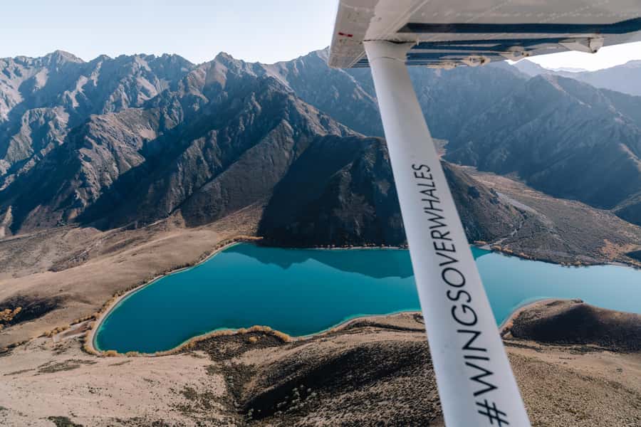 Kaikoura: Extended Flight Whale Watching & Mountain Tour - The 45-minute flight: Seaward Kaikōura Ranges to the South Pacific