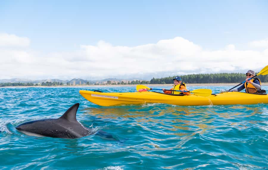 Kaikoura: Guided Family Kayaking Adventure - The Briefing That Teaches You to Paddle (Not Just Sit There)
