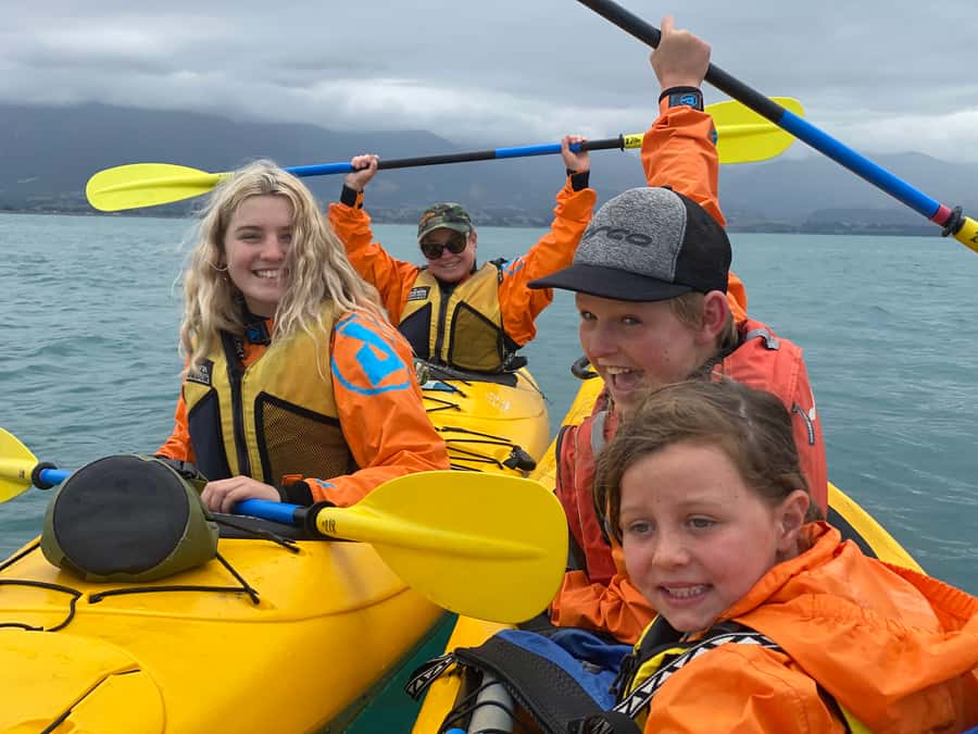 Kaikoura: Guided Family Kayaking Adventure - On-Water Time: 1.5 to 2 Hours of Coast and Wildlife Watching