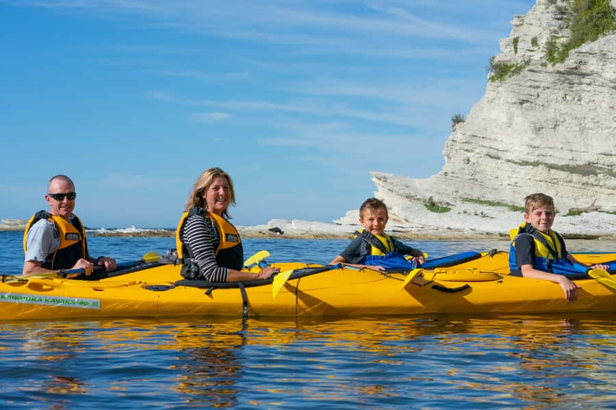 Kaikoura: Guided Family Kayaking Adventure - Wildlife Encounters You Can Actually Hope For