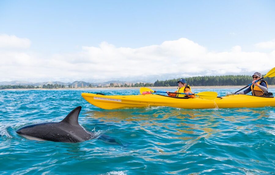 Kaikoura: Guided Family Kayaking Adventure - Keeping Your Camera Dry and Your Day Unfussy