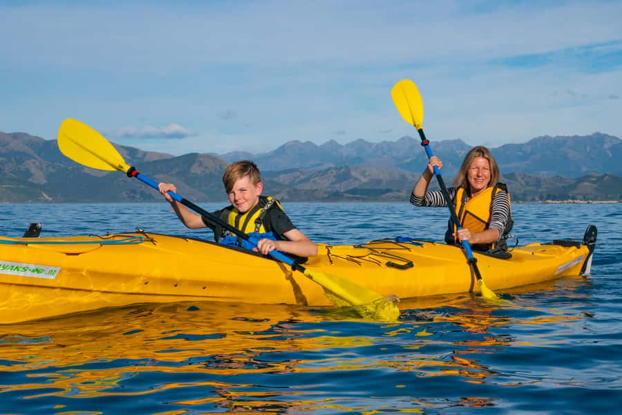 Kaikoura: Guided Family Kayaking Adventure - Price and Value: Does $95 Make Sense?