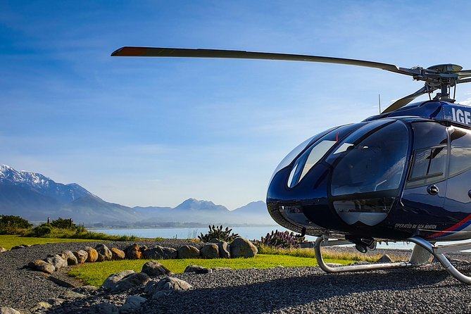 Kaikoura Helicopters Classic Whale Watch - A 30-minute aerial whale watch over Kaikoura’s canyon and coast