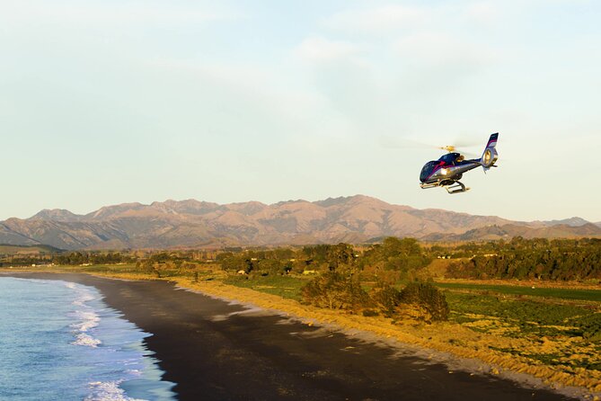 Kaikoura Helicopters Extended Whale Watch - Itinerary Walkthrough: Your One Main Stop in Kaikōura