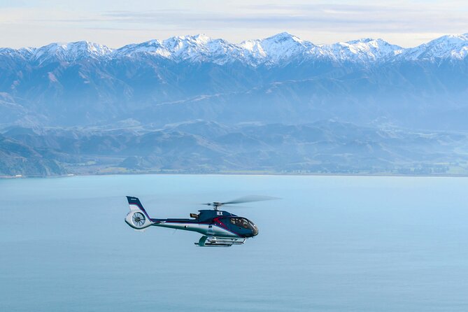 Kaikoura Helicopters Extended Whale Watch - Views You Get Beyond the Whale Moment