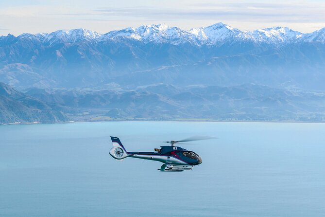 Kaikoura Helicopters Top n Tail Whale Watch flight - Key highlights at a glance